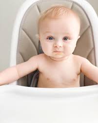 Noble Family Farms 2022 🍂🍁