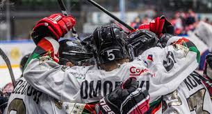 23 lis 2020 / hokej. Gks Tychy I Polonia Bytom Mistrzami Polski W Hokeju Na Lodzie Silesia24 Pl