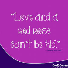 Flowershop Geelong Au Florist Geelong Au Wedding Flowers Geelong Au Funeral Flowers Geelong Au Flower Bouqu Inspirational Quotes Flower Shop Red Roses