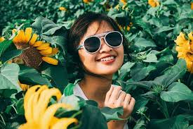 Jual beli mobil bekas, baru harga murah, kondisi terbaik di kota bandung, jawa barat. 4 Wisata Taman Bunga Matahari Yang Lagi Hits Di Jogja Arena Wisata Tour And Travel Terpercaya