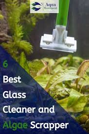 Best Glass Cleaner And Algae Scrapper For Aquarium Glass Cleaner Best Glass Cleaner Aquarium