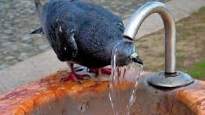 ØµÙØ±Ø© Ø°Ø§Øª ØµÙØ©