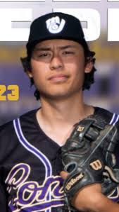 The Republic's 2023 All-Arizona high school baseball team