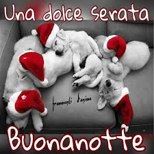 15 Immagini E Frasi Per La Buonanotte Natalizia Bgiorno It L'angelo distribuisce l'amore durante il sonno. frasi per la buonanotte natalizia