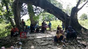 #potret #desatertinggal pinarak bojonegoro cover desa napis kec.tambakrejo kab.bojonegoro. Mitos Pasangan Awet Setelah Mengunjungi Pohon Cinta Suara Bojonegoro