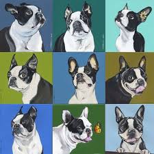 Super Saver Custom Dog Portrait Custom Dog Portraits Boston Terrier Art Dog Portraits