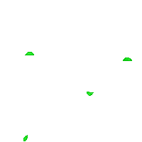 Shooting star woke some animal. Disassociative Walks