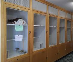 At our pet kennels, we provide all the amenities required by the cats, to make their stay with us more comfortable. The Cat S Inn Boarding Suites The Cat Hospital Of Maine