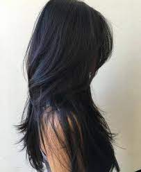 Long Black Layered Hairstyle Long Hair Styles Hair Styles Straight Layered Hair