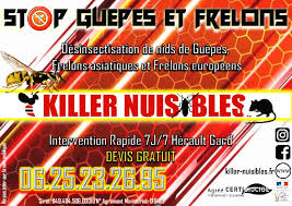 Les sprays et les poussières. Destruction De Vos Nids De Guepes Et Frelons Killer Nuisibles Traitement Destruction Nids De Guepes Et Frelon Deratisation Et Desinsectisation A Sommieres