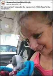 Recurring nightmare: my escape from a serial no-killer, by Beth Clifton