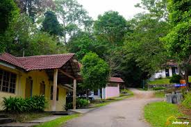 We did not find results for: Gunung Lambak Gojohor