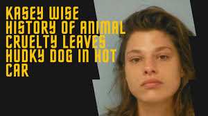 Kasey Wise Leaves Dog in Hot Car