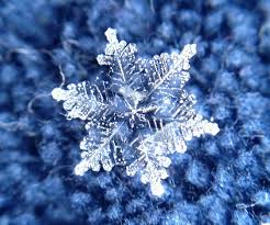 Customize and personalise your desktop, mobile phone and tablet with these free wallpapers! Snowflake1 Snowflake Images Snowflakes Real Snowflake Photography
