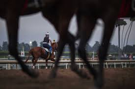 Stakes quotes quotes from the jockeys, trainers, and owners of the stakes at santa anita park. Why So Many Horses Have Died At Santa Anita The New York Times