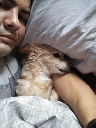 Anyone have an ID for her? She's not a Cat face or a Hentz, is she? Lenoir,  NC