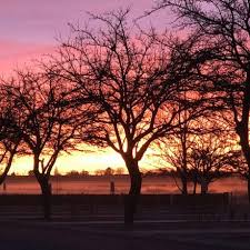 Quickly find rv park phone number, directions & more (holbrook, az). Photo Gallery For Ok Rv Park Holbrook Arizona