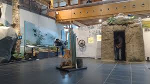 Für jeden wanderweg gibt es eine karte und einen ausführlichen tourenbericht. Haus Der Natur Feldberg Destimap Destinations On Map