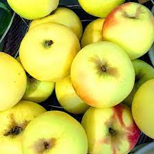 Perones Manzanitasmexicanas Chihuahua Productodetemporada Apoyaamexico Campomexicano Otono2019 Fruit Apple Food