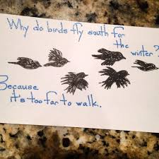 Why Do Birds Fly South For The Winter Joke Why Do Birds Fly South For The Winter Because It S Too Far To Walk Haha Kidsjokes Lunchnotes Lunchbox Parenting Bir Why Do Birds Birds Instagram Posts