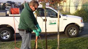 Maybe you would like to learn more about one of these? Best 30 Lawn Maintenance In Sacramento Ca With Reviews Yp Com