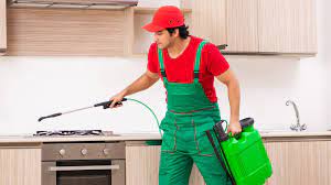 How To Choose The Right Pest Control Compay For You | Insectcop