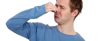 أسباب رائحة البراز الكريهة ويب طب