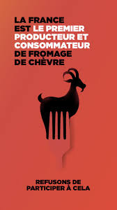 Remplacer Les Produits Laitiers Lait Beurre Fromage Vegan Pratique La Laitiere Produits Laitiers Fromage Vegan