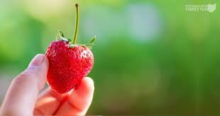 Warmer weather is on the way and one of the best parts about summer is all of the fresh fruit around the state. 20 Local Farms With The Best Strawberry Picking In Northeast Ohio