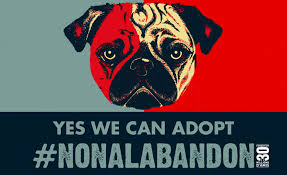 Tous les ans, 30 millions d'amis fait une campagne publicitaire contre l'abandon des chiens. Voyages Une Video Choc De 30 Millions D Amis Contre L Abandon Avant L Ete Carenews Info