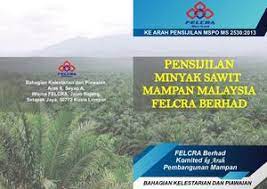 Sebagai usaha untuk menggalakkan pembelajaran dewasa, kwsp akan memperluaskan skop pengeluaran bagi tujuan. Calameo Mspo Website Rgb