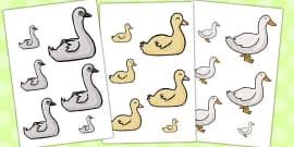 Ugly duckling and family in the pond. The Ugly Duckling Story Colouring Sheets Teacher Made