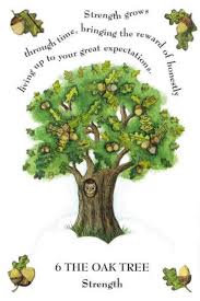 Pin By Pam Van Dyk On Masterwork Pine Tree Tattoo Tree Illustration Magical Tree