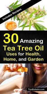 30 Amazing Uses For Tea Tree Oil Tea Tree Oil Uses Tea Tree Oil Oil Uses