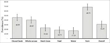 Метод выявления бактерий рода salmonella. Frequency Of Prevalence Of Salmonella Spp With A Standard Error Of The Download Scientific Diagram