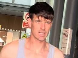 Aaron Daly Limerick man accused of racist abuse of election candidate flees  to Crete with his dog