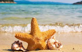 Image result for august