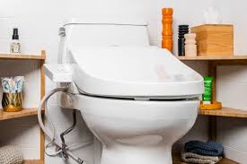 With all the best toilet brands available, you would think find a toilet would be easy. The 4 Best Bidets 2021 Bidet Toilet Seats Reviews By Wirecutter
