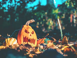 Gibt es keine süßigkeiten, droht irgendein schabernack: Vegan Halloween Feiern Gruselideen Fur Die Ganze Familie Vamily De