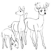 • this video demonstrates how to paint the realistic eye of a deer in watercolor. Deer Coloring Pages From Amelia Free Printables