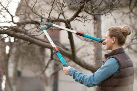 May 15, 2021 · wi pesticide applicator certification (3.0), or ability to become certified. Protect Your Trees From Disease Weekly News Wisconsin Dnr