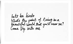 Bird Bird Bird Is The Word Song Let S Be Birds Lyrics Google Search Lyrics Bird Quotes Interesting Quotes