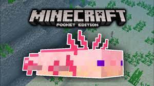 Axolotls mod for minecraft pe. Ajolote Addon Mods Para Minecraft Pe 1 16 Axolotl Addon Minecraft Bedrock Youtube