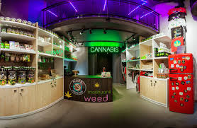Mops Coffeeshop Cannabis Store Warsaw 2020 All You Need To Know Before You Go With Photos Tripadvisor