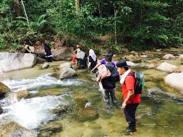 Santuari ikan sungai chiling ini terletak di kuala kubu bharu jalan menunju ke bukit fraser tidak jauh dari empangan air sungai selangor yang diuruskan oleh jabatan perikanan. Pin On Campmate