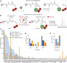 Activity Based E3 Ligase Profiling Uncovers An E3 Ligase