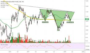 Cgl Stock Price And Chart Tsx Cgl Tradingview
