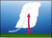 Tornado diagrams are intuitive and are often shared as part of the final results, but keep in mind that knowing which risk factors have the most impact is. Weather Wiz Kids Weather Information For Kids