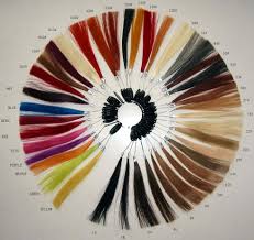 Cool Tone Hair Color Chart Hairtechkearney