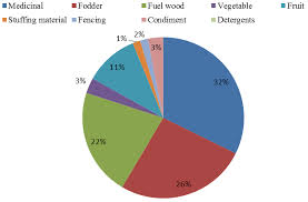 The Pie Chart Showing Percentages Of Multi Usage Plant